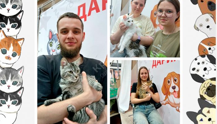 Спешим поделиться итогами выставки в Мегацентре 